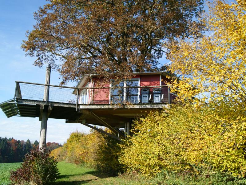 Baumhaus von unten.JPG