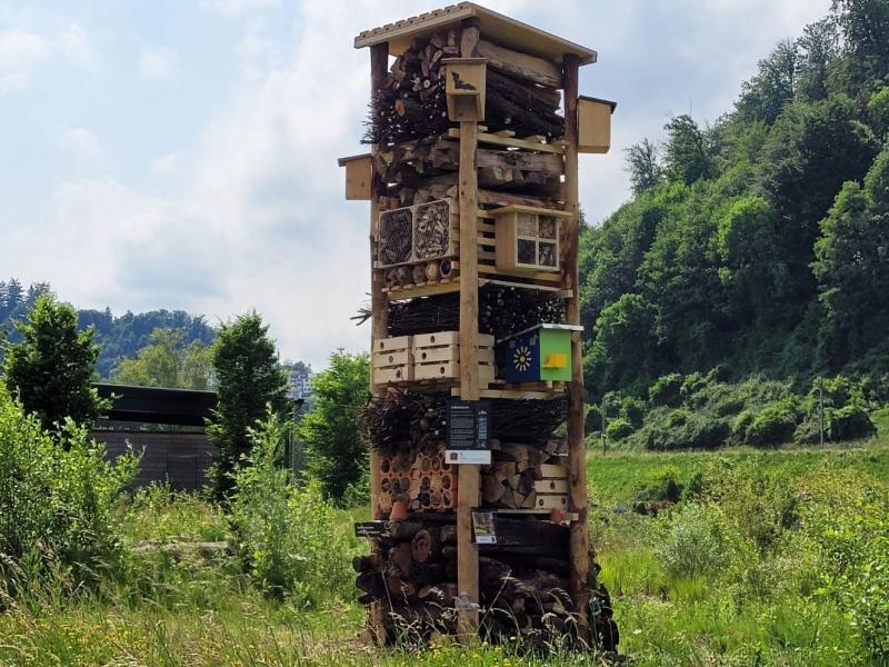 Lebensturm beim Rotsee.jpg